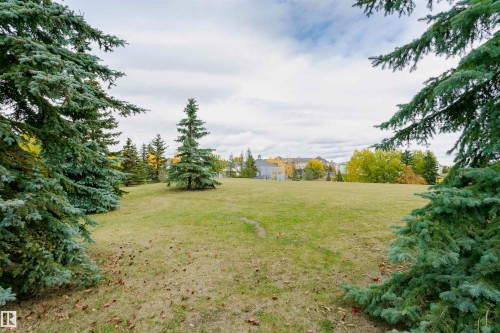 Expansive green space featuring mature evergreen trees and a graded lawn - #42 9630 176 St Nw, Edmonton, AB - Outdoor With View