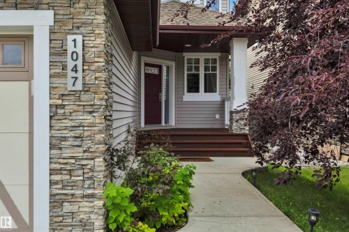 1047 Armitage Crescent Sw, Edmonton, AB - Outdoor