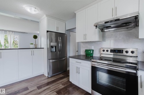 11420 46 Avenue Nw, Edmonton, AB - Indoor Photo Showing Kitchen