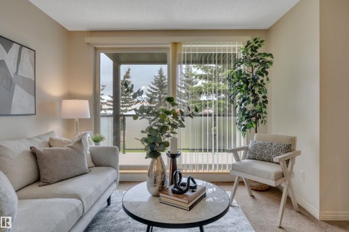 #205 13907 136 St Nw, Edmonton, AB - Indoor Photo Showing Living Room
