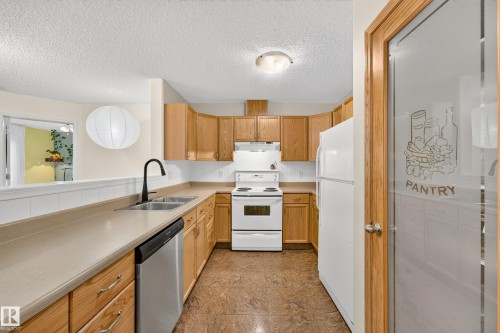 #206 7839 96 St Nw, Edmonton, AB - Indoor Photo Showing Kitchen With Double Sink