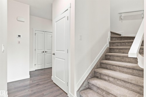 Plank wood-finish flooring, white paneled doors, and a carpeted staircase with a white handrail - 22019 82 Avenue Nw, Edmonton, AB - Indoor Photo Showing Other Room