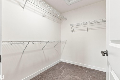 Walk-in closet featuring wire shelving, white walls, and carpet flooring - 22019 82 Avenue Nw, Edmonton, AB - Indoor With Storage