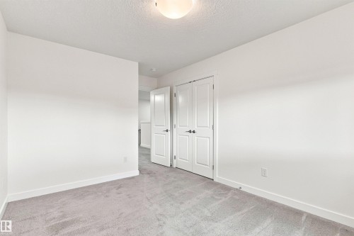 Soft gray carpeting, white walls, white trim, white paneled doors, and an overhead flush-mount light fixture - 22019 82 Avenue Nw, Edmonton, AB - Indoor Photo Showing Other Room
