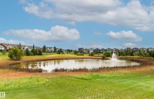 Landscaped pond with a central fountain, surrounded by green and golden grasses, and mature trees in the background - 22019 82 Avenue Nw, Edmonton, AB - Outdoor With View