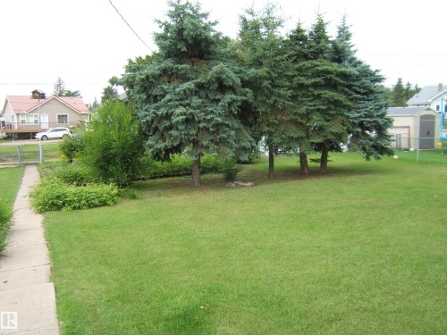 Expansive lawn with mature evergreens and established landscaping - 4809 47A Street, Two Hills, AB - Outdoor