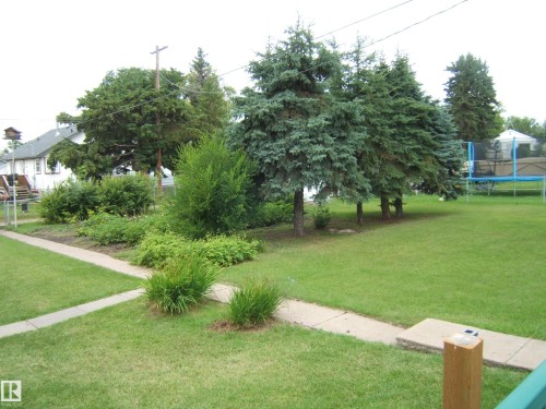 Expansive green lawn with mature evergreen trees and established landscaping - 4809 47A Street, Two Hills, AB - Outdoor