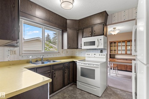 1984 68 Street Nw, Edmonton, AB - Indoor Photo Showing Kitchen With Double Sink