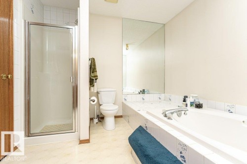 3303 42A Avenue Nw, Edmonton, AB - Indoor Photo Showing Bathroom