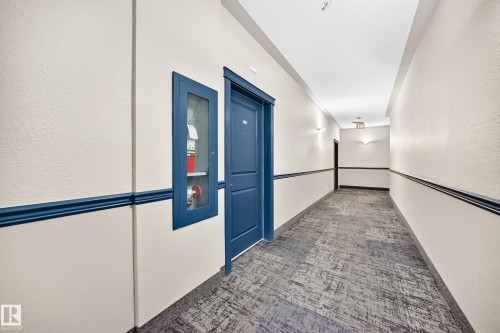 Hallway featuring patterned carpet flooring, cream-toned walls, and a contrasting blue wainscoting trim - #214 245 Edwards Dr Sw, Edmonton, AB - Indoor Photo Showing Other Room