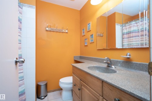 12022 43 Street Nw, Edmonton, AB - Indoor Photo Showing Bathroom
