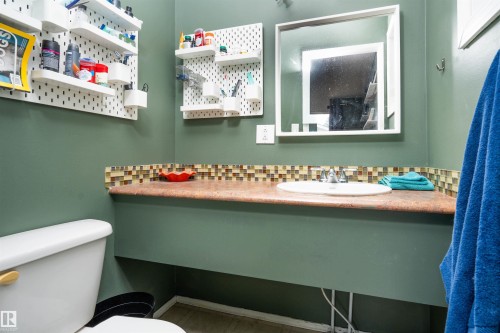12022 43 Street Nw, Edmonton, AB - Indoor Photo Showing Bathroom