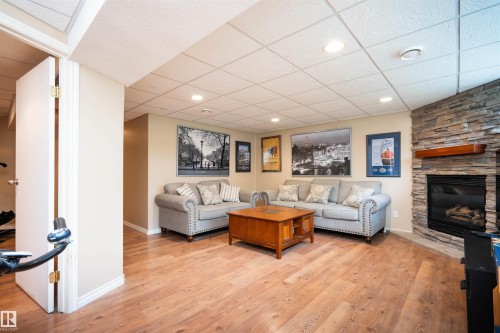 12022 43 Street Nw, Edmonton, AB - Indoor Photo Showing Other Room With Fireplace