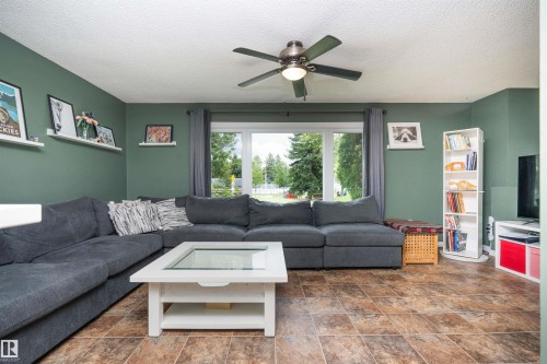 12022 43 Street Nw, Edmonton, AB - Indoor Photo Showing Living Room