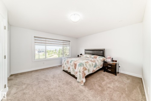 Spacious room with plush carpeting and a large window featuring horizontal blinds - 2812 12 Street Nw, Edmonton, AB - Indoor Photo Showing Bedroom