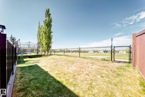 Expansive backyard featuring a combination of chain-link and privacy fencing - 2812 12 Street Nw, Edmonton, AB - Outdoor