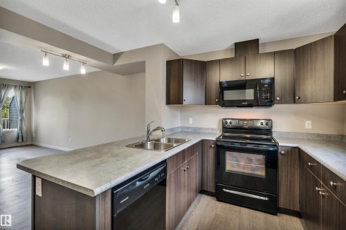 #33 1816 Rutherford Rd Sw, Edmonton, AB - Indoor Photo Showing Kitchen With Double Sink