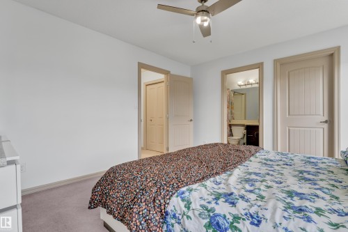 Bright room featuring a ceiling fan with integrated lighting, neutral carpeting, and a built-in closet with a louvered door - 7223 19A Avenue Sw, Edmonton, AB - Indoor Photo Showing Bedroom