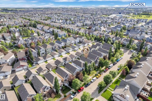 Established residential area with tree-lined streets and varied architectural styles - 7223 19A Avenue Sw, Edmonton, AB - Outdoor With View