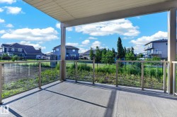 Covered concrete patio with glass panel railing and support columns - 