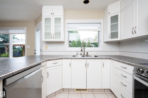 3811 44 Street Nw, Edmonton, AB - Indoor Photo Showing Kitchen With Double Sink