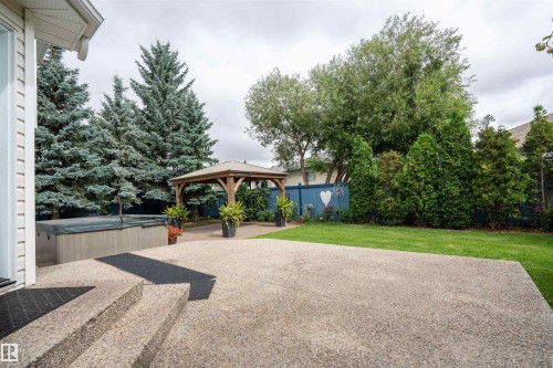 3811 44 Street Nw, Edmonton, AB - Outdoor With Backyard