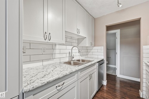 #201 9725 82 Av Nw, Edmonton, AB - Indoor Photo Showing Kitchen With Double Sink