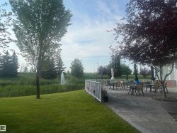 Patio dining area featuring multiple tables and chairs, a concrete surface, and mature trees providing shade - 