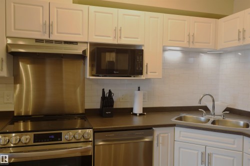 #415 12550 140 Av Nw, Edmonton, AB - Indoor Photo Showing Kitchen With Double Sink