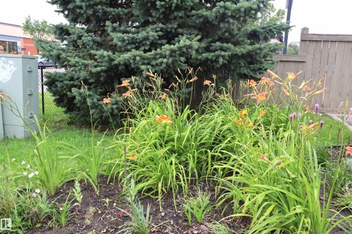 #415 12550 140 Av Nw, Edmonton, AB - Outdoor