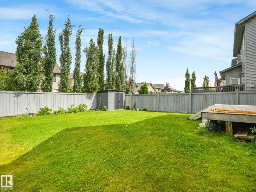 Expansive lawn area with a perimeter fence, mature trees, and a utility shed - 1478 37B Avenue Nw, Edmonton, AB - Outdoor With Backyard