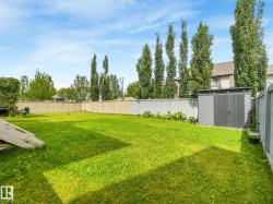 Expansive lawn with a tall privacy fence, mature trees, and a freestanding storage shed - 