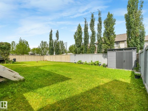 Expansive lawn with a tall privacy fence, mature trees, and a freestanding storage shed - 1478 37B Avenue Nw, Edmonton, AB - Outdoor With Backyard