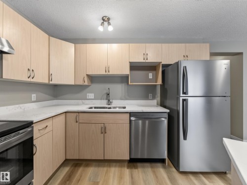13003 101 Street Nw, Edmonton, AB - Indoor Photo Showing Kitchen With Double Sink