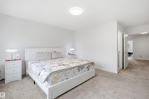 Plush carpeted flooring with light-colored walls and a flush-mount ceiling light - 3877 Chrustawka Place Sw, Edmonton, AB - Indoor Photo Showing Bedroom