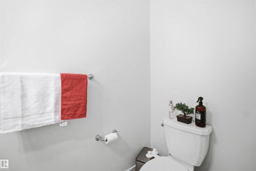 Additional content - 3877 Chrustawka Place Sw, Edmonton, AB - Indoor Photo Showing Bathroom