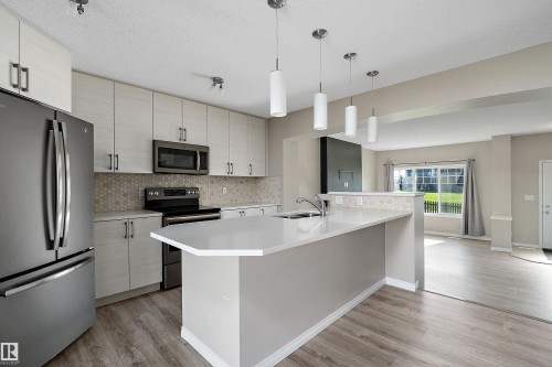 4037 Prowse Lane Sw, Edmonton, AB - Indoor Photo Showing Kitchen With Upgraded Kitchen