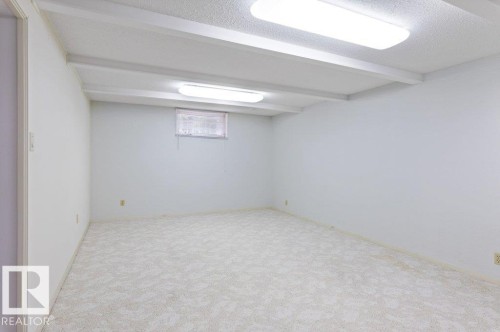 11217 38 Street Nw, Edmonton, AB - Indoor Photo Showing Basement