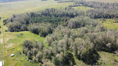 Expansive acreage featuring abundant mature trees, open clearings, and natural vegetation - 49480 Rge Rd 41, Rural Leduc County, AB - Outdoor With View