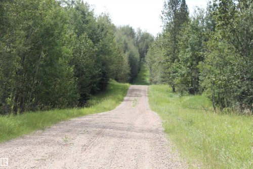 Gravel road surrounded by dense, mature trees and natural grassy verges - 49480 Rge Rd 41, Rural Leduc County, AB - Outdoor With View