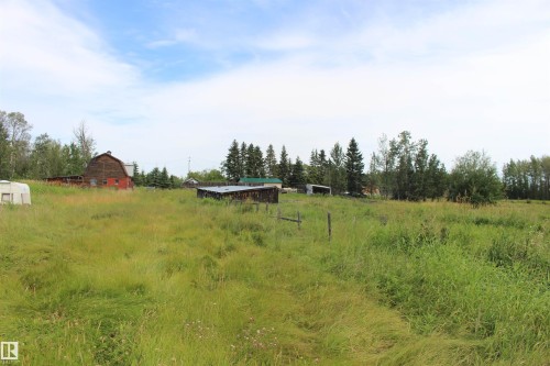 Expansive natural landscape with mature trees, a red barn, and outbuildings, featuring a partially fenced perimeter - 49480 Rge Rd 41, Rural Leduc County, AB - Outdoor With View