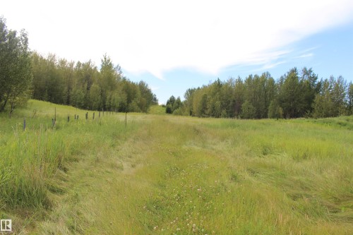 Expansive green space with mature trees bordering the property - 49480 Rge Rd 41, Rural Leduc County, AB - Outdoor With View