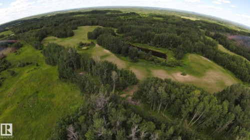 Expansive acreage with a mix of dense wooded areas and open grassy clearings - 49480 Rge Rd 41, Rural Leduc County, AB - Outdoor With View
