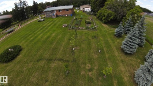 Expansive green lawn with mature evergreen trees, visible raised garden beds, and a wood-sided residence with a covered patio - 49480 Rge Rd 41, Rural Leduc County, AB - Outdoor