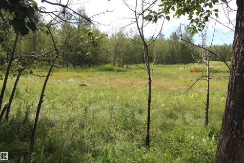 Expansive natural landscape featuring a broad meadow and surrounding mature trees - 49480 Rge Rd 41, Rural Leduc County, AB - Outdoor With View