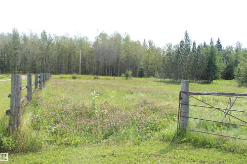 Expansive grassy area with a rustic wooden fence and metal gate, bordered by mature trees - 49480 Rge Rd 41, Rural Leduc County, AB - Outdoor