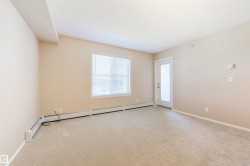With brand new carpet - 
