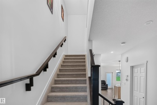 Staircase featuring carpeted treads, dark wood-finish handrails, and white walls - 1676 27 Street Nw, Edmonton, AB 