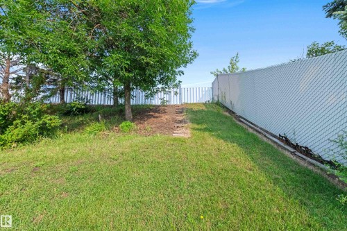 Expansive grassy area with a privacy fence and mature trees - 14538 37 Street Nw, Edmonton, AB 