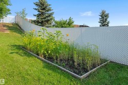 Manicured lawn with a raised garden bed featuring mature plants, bordered by a chain-link fence - 